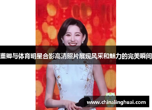 董卿与体育明星合影高清照片展现风采和魅力的完美瞬间